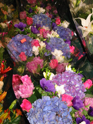 �u���[�t�����[