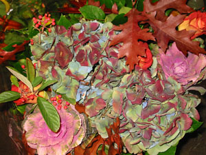 �H�F�A�W�T�C