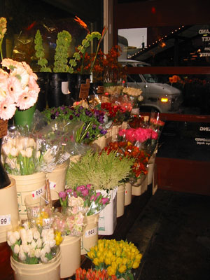 ����ȕ��ɔ����Ă��܂���