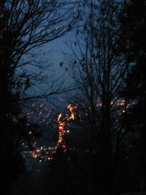 �_�E���^�E���̖�i