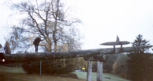 �o�[�i�r�[�}�E���e��