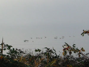 �a�����������S