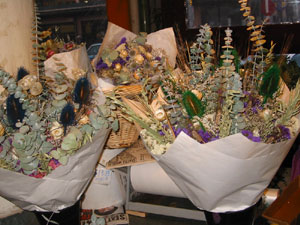 �h���C�t�����[�u�[�P