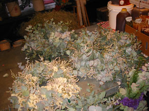 �h���C�t�����[���[�X