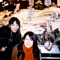 �o�������o���������e�������l����������