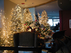 �w�f�������f�R���[�V����