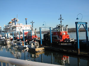 �E�H�[�^�[�E�t�����g