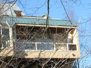 �E�H�[�^�[�E�t�����g�̃}���V����