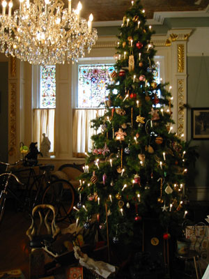 �c�������������q������