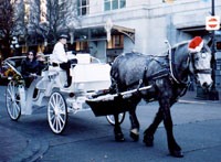 ���n������N���X�}�X