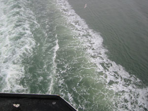 �t�F���[����