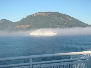 �t�F���[����