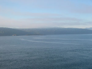 �t�F���[����