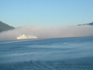 �t�F���[����