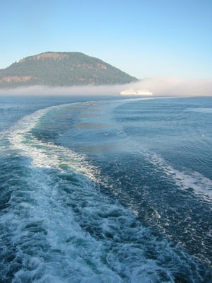 �t�F���[����