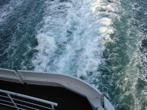 �t�F���[����