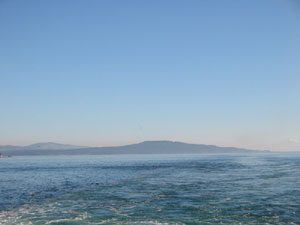 �t�F���[����