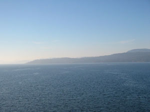 �t�F���[����