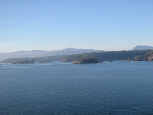 �t�F���[����