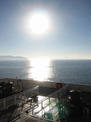 �t�F���[����