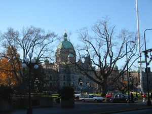 �B�c����