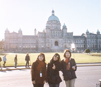 �B�c����