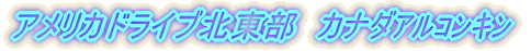 H̖kEJi_ٺݷ