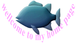 ̃S