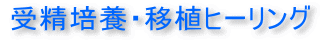 受精培養・移植ヒーリング