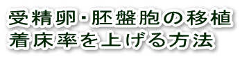 受精卵・胚盤胞の移植 着床率を上げる方法