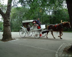 the carriage ride we took to the carousel