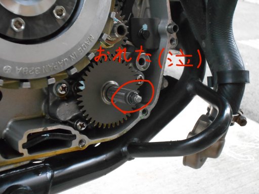 KLX250 IC|vAbV