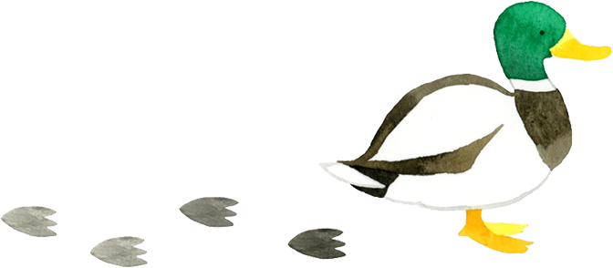 あひるのイラスト