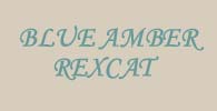 blue amber rexcat