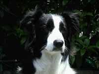 �V�[�������