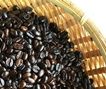 beans.jpg(14886 byte)