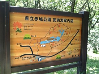 D200708194.JPG