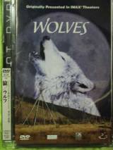 狼-生録〜出陣の遠吠え-CD Amazon | Call Of The Wolf | Bryan, Denver | Mammals