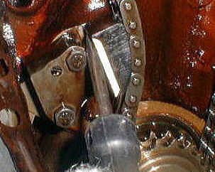 photo7
