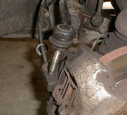 photo5