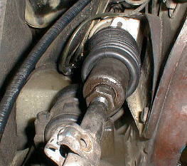 photo7