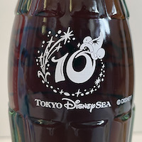 DisneySea10thup