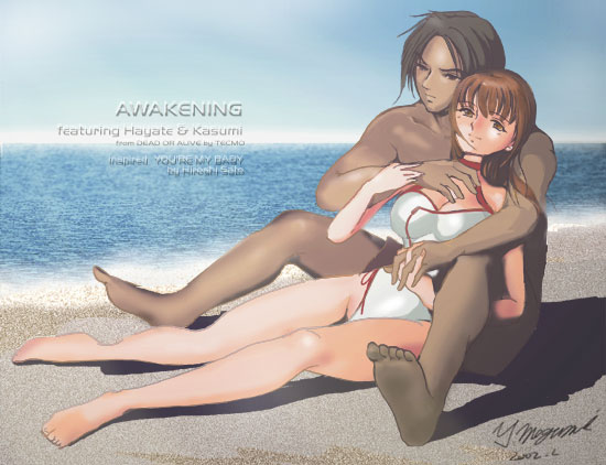 Kasumi and Hayate
