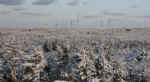 0503034.jpg (82781 oCg)