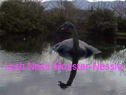 Nessie