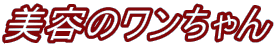ẽ 