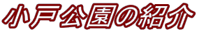 ˌ̏Љ 