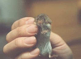 �`��������