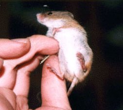 �R������