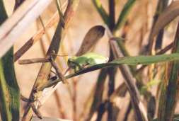 �A�}�K�G��